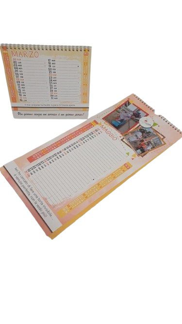 WhatsApp_Image_2026-01-31_at_13.30.40-removebg-preview